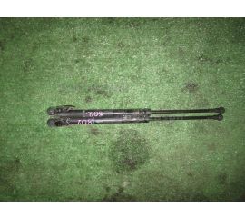 Амортизатор двери