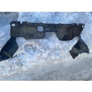 Защита двигателя Honda STEPWGN RG1 K20A
