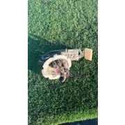 Топливный насос Nissan ELGRAND APWE50 VQ35DE