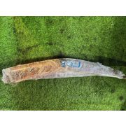 Ветровик Nissan X-TRAIL NT30 QR20DE