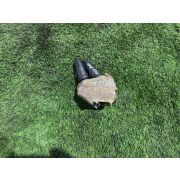 Гитара Nissan TIIDA С11 HR15DE