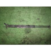 Амортизатор двери Honda STREAM RN1 D17A